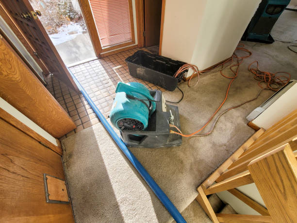 Best Basement water damage restoration  in Pikeville, KY