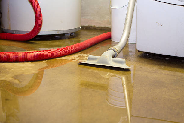Best Commercial water damage restoration  in Pikeville, KY
