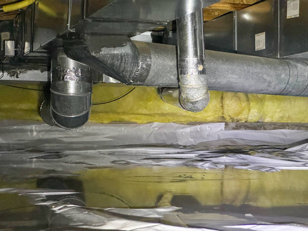 Best Flooded house restoration  in Pikeville, KY