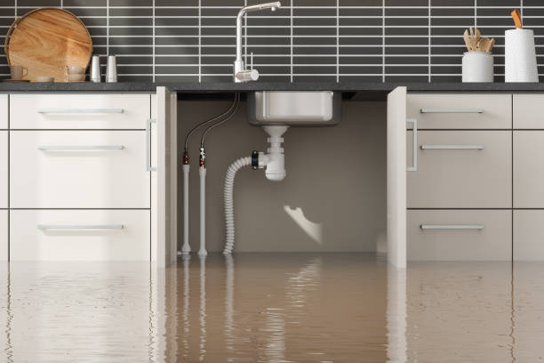 Water damage restoration mold remediation in Pikeville, KY