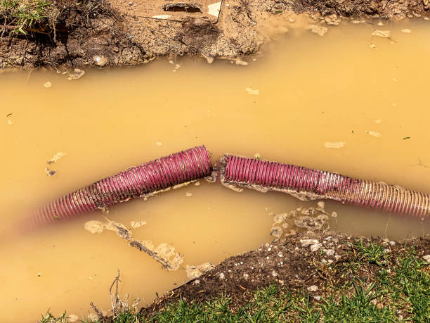 Best Mold removal after water damage  in Pikeville, KY