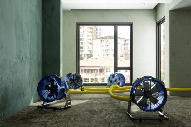 Best Residential water damage restoration  in Pikeville, KY