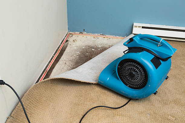 Best Water damage contractors near me  in Pikeville, KY